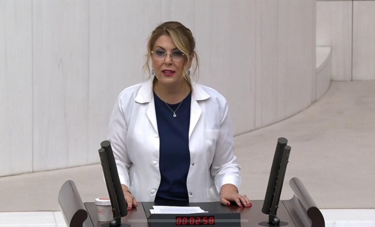 Elvan Işık Gezmiş ''Eczacıların Yeşil Pasaport hakkıdır''