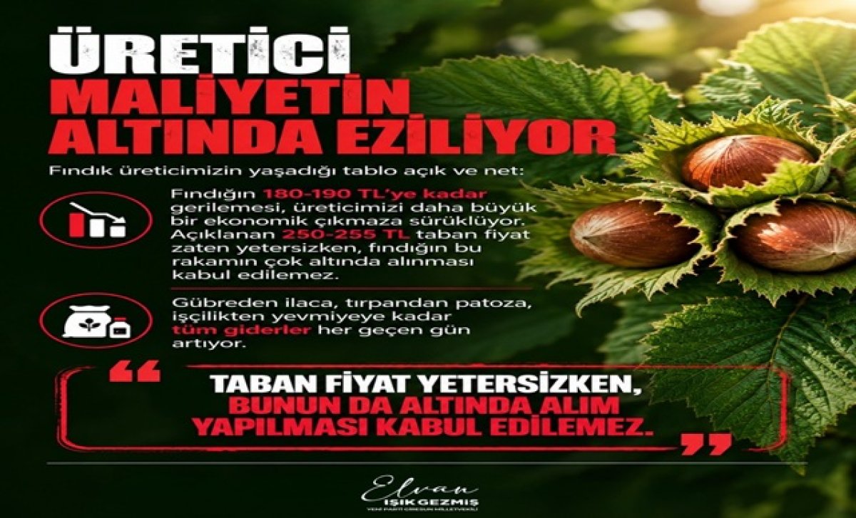 FINDIKTA FİYAT ÇÖKÜŞÜ, ÜRETİCİNİN BİTİŞİDİR!