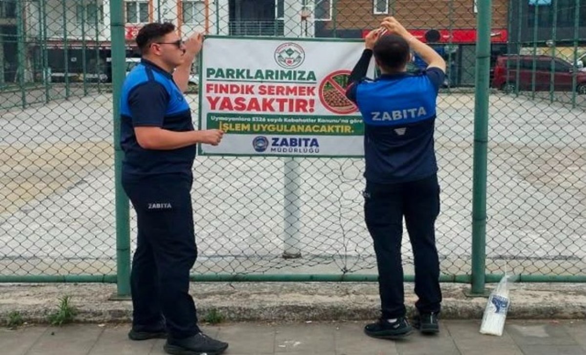 Giresun Belediyesi ''Parklarımıza fındık sermek yasaktır''