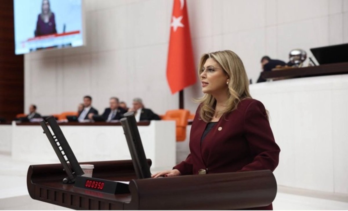 YENİ Parti'li Gezmiş, ''350 TL’yi gören fındığa bugün 250 TL değer biçmek kabul edilemez''