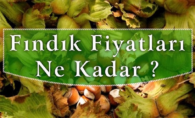 Fındık Fiyatları Ne Kadar