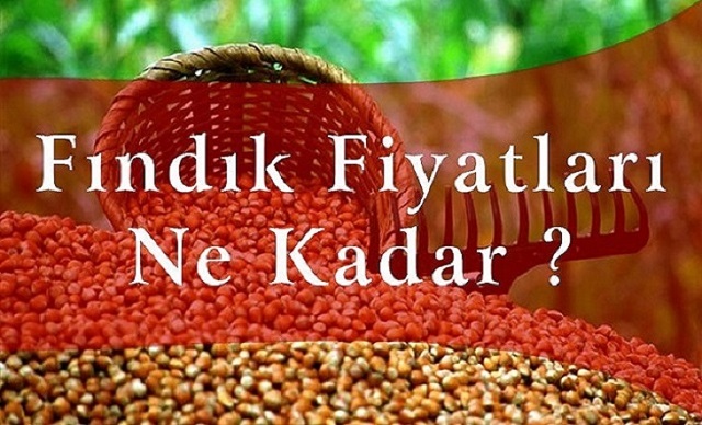 Fındık Fiyatları Ne Kadar